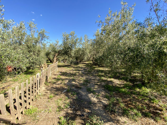 Image No.39-Propriété de 2 chambres à vendre à Huercal-Overa