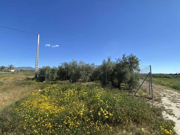 Image No.41-Propriété de 2 chambres à vendre à Huercal-Overa