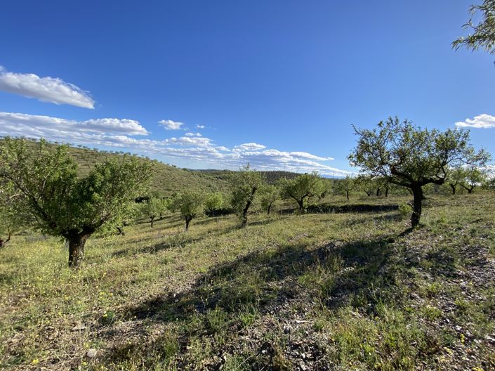 Image No.27-3 Bed Property for sale