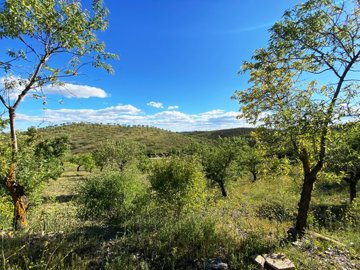 vh2738-country-house-for-sale-in-velez-rubio-