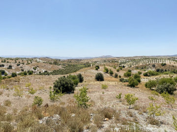 vh2773-country-house-for-sale-in-velez-rubio-