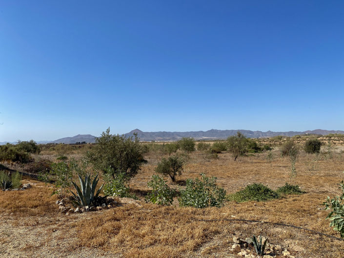 Image No.34-5 Bed Property for sale