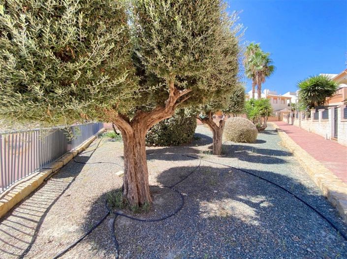 Image No.52-3 Bed Duplex for sale