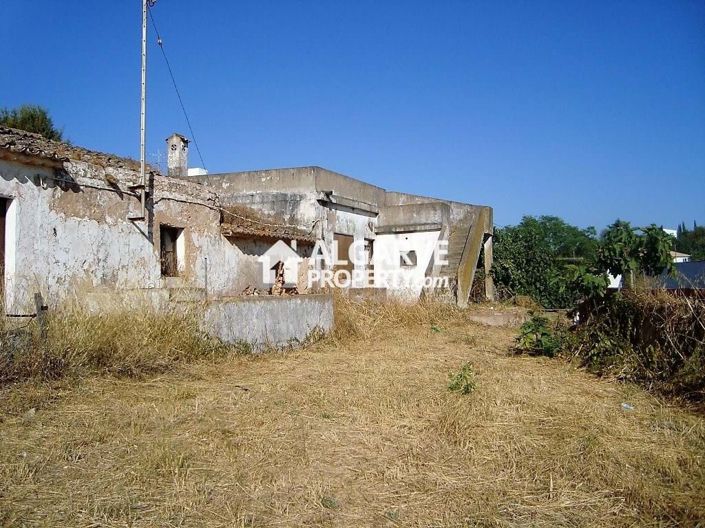 Image No.6-Terre à vendre à Vale Judeu