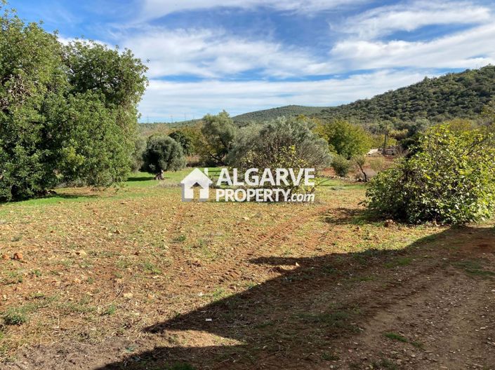 Image No.11-Terre à vendre à Loule