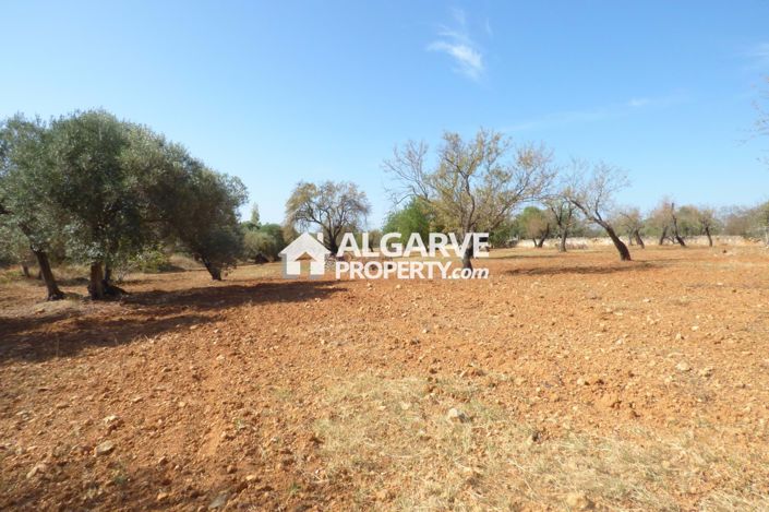 Image No.6-Land for sale