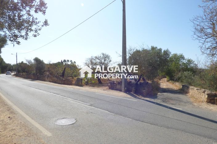 Image No.8-Land for sale