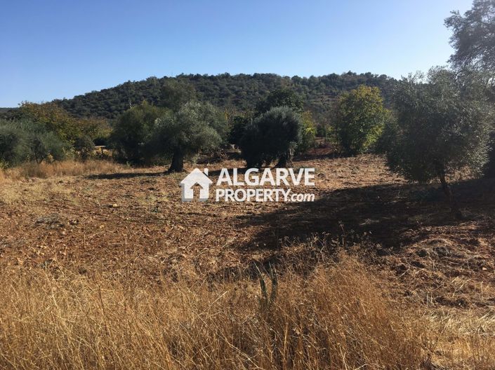 Image No.4-Land for sale