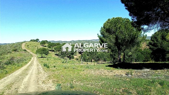 Image No.13-Land for sale