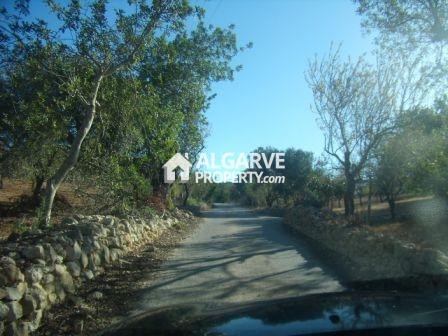 Image No.2-Land for sale