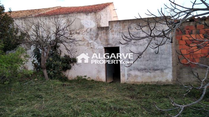 Image No.5-Terre de 3 chambres à vendre à Tunes