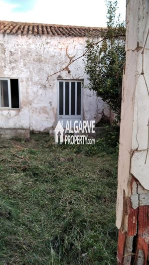 Image No.6-Terre de 3 chambres à vendre à Tunes