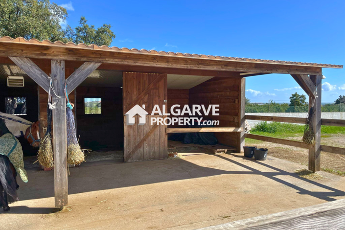 Image No.31-4 Bed Villa for sale