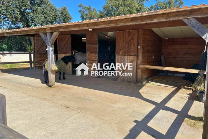 Image No.32-4 Bed Villa for sale