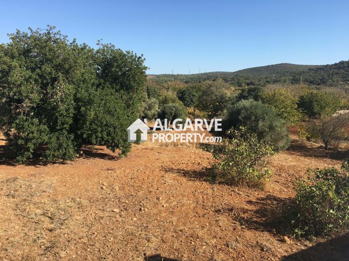 Image No.8-Land for sale