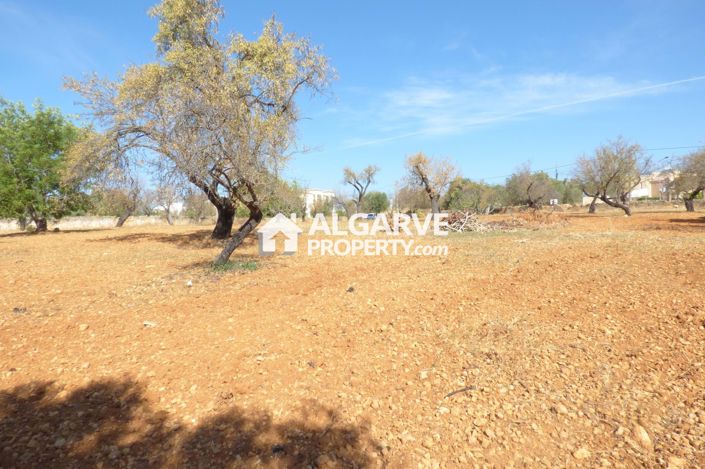 Image No.2-Land for sale