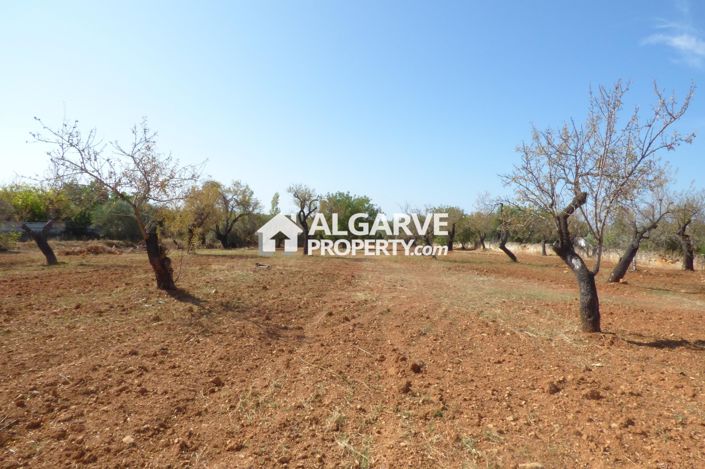 Image No.5-Land for sale