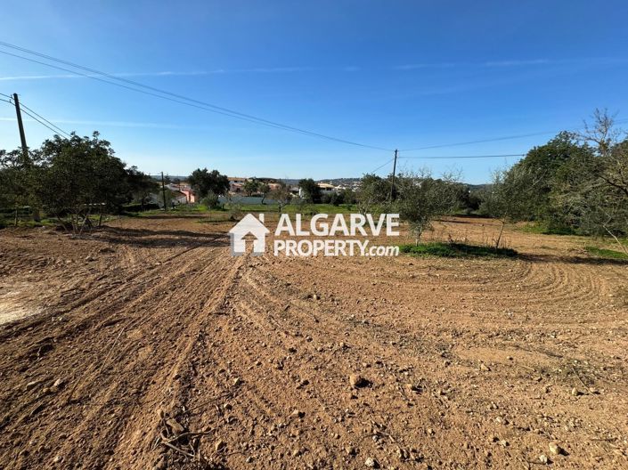 Image No.4-Terre à vendre à Boliqueime