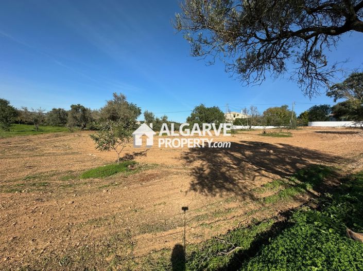 Image No.6-Terre à vendre à Boliqueime