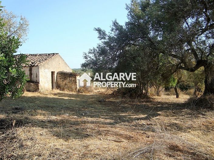 Image No.12-Land for sale