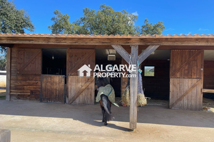 Image No.33-4 Bed Villa for sale