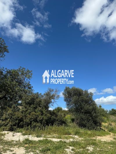 Image No.14-Land for sale