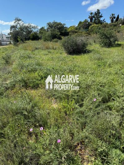 Image No.2-Land for sale