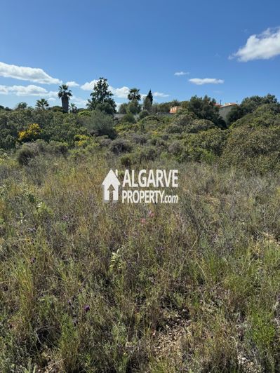 Image No.4-Land for sale