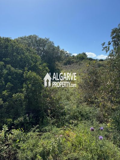 Image No.7-Land for sale