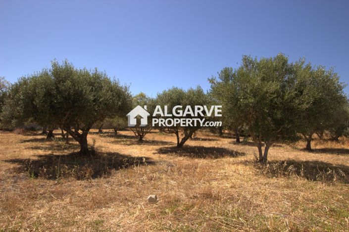 Image No.4-Land for sale