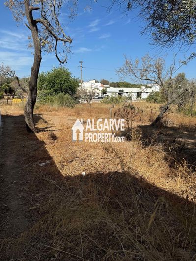 Image No.7-Land for sale