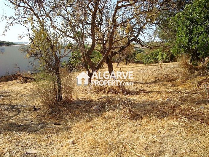 Image No.9-Land for sale