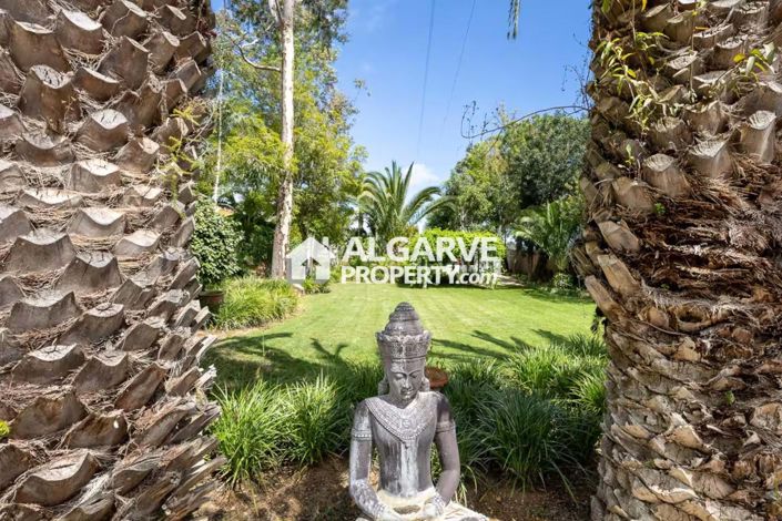 Image No.70-Villa de 7 chambres à vendre à Mexilhoeira Grande