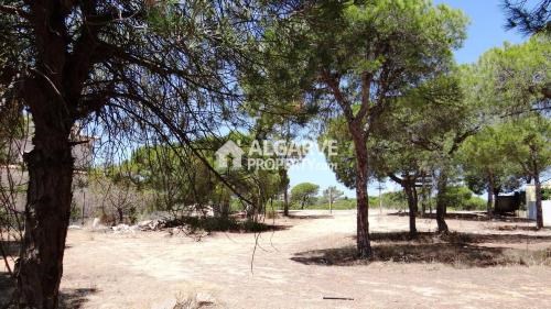 Image No.4-Land for sale