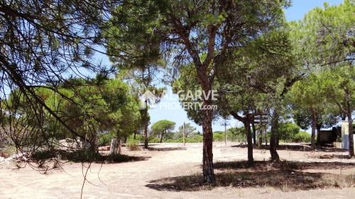 Image No.5-Land for sale