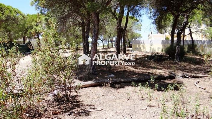 Image No.5-Land for sale