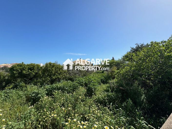 Image No.18-Terre à vendre à Loule