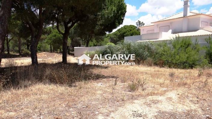 Image No.6-Land for sale