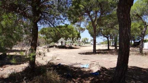 Image No.3-Land for sale