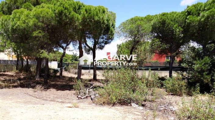 Image No.2-Land for sale