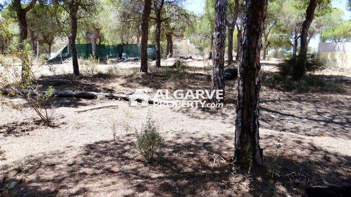 Image No.8-Land for sale