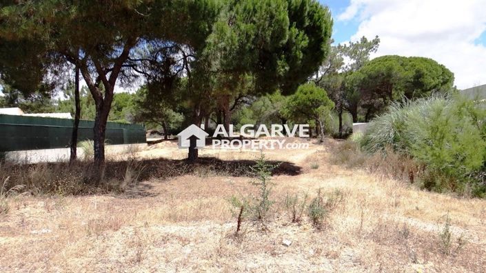 Image No.2-Land for sale