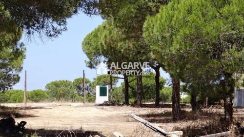 Image No.6-Land for sale