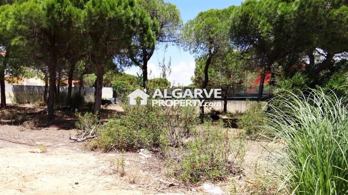 Image No.4-Land for sale