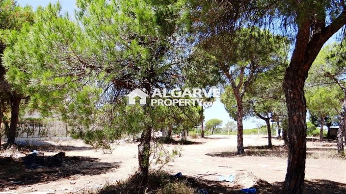 Image No.9-Land for sale