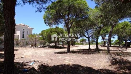Image No.2-Land for sale
