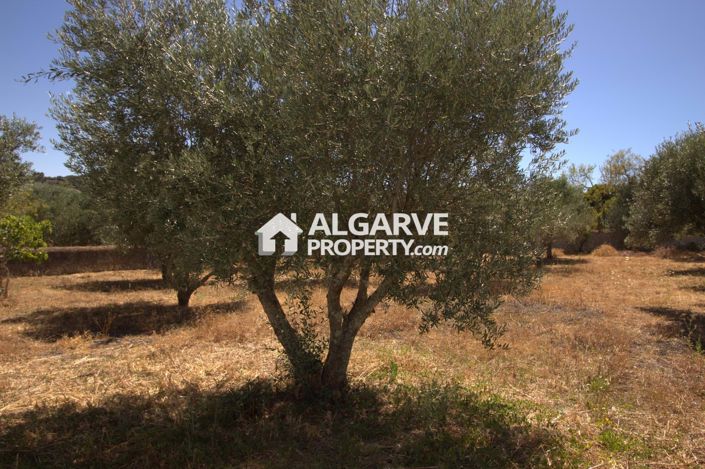 Image No.1-Land for sale