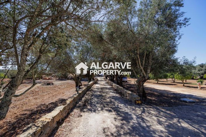 Image No.25-Villa de 3 chambres à vendre à Faro City