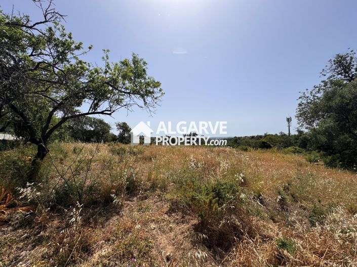 Image No.41-Land for sale