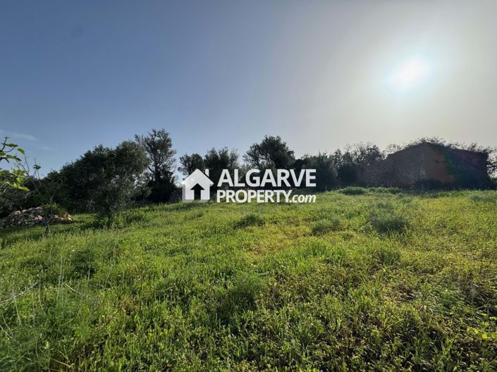 Image No.4-Land for sale